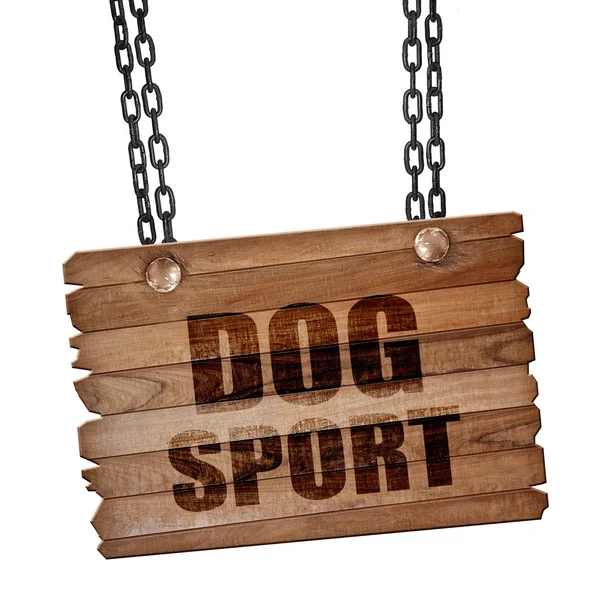 Собачий спорт, 3D рендеринг, дерев'яна дошка на грандж-ланцюжку — стокове фото