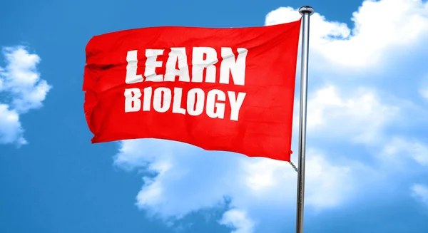 Learn biology, 3D rendering, a red waving flag — Stock Photo, Image