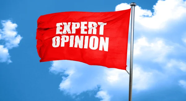 Opinión experta, representación 3D, una bandera ondeante roja — Foto de Stock