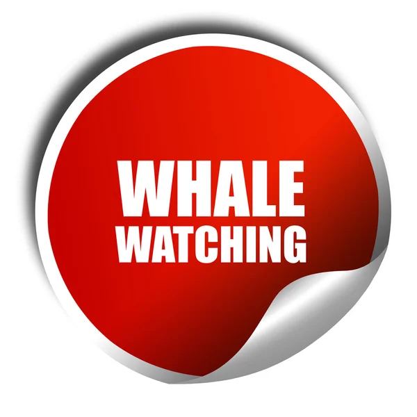Observación de ballenas, representación 3D, pegatina roja con texto blanco — Foto de Stock