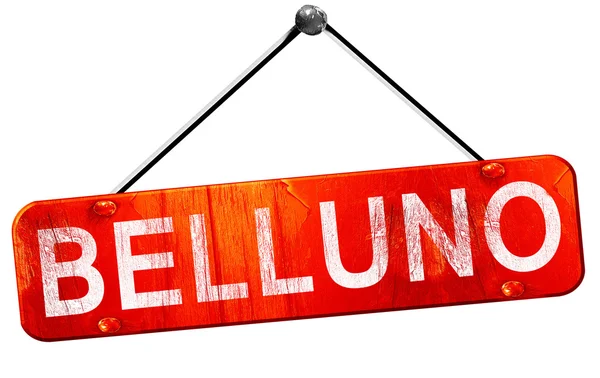 Belluno, 3D rendering, a red hanging sign