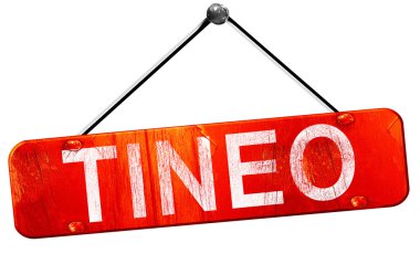 Tineo, 3d render, işareti asılı kırmızı