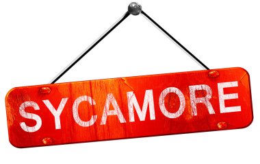 Çınar, 3d render, işareti asılı kırmızı