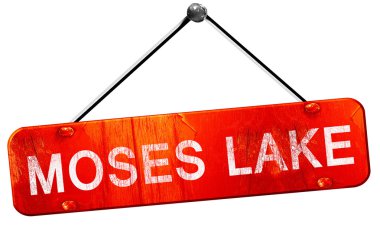 Moses lake, 3d render, işareti asılı kırmızı