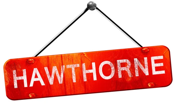 Hawthorne, 3d render, işareti asılı kırmızı