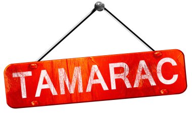 Tamarac, 3d render, işareti asılı kırmızı