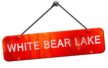 beyaz ayı Gölü, 3d render, işareti asılı kırmızı