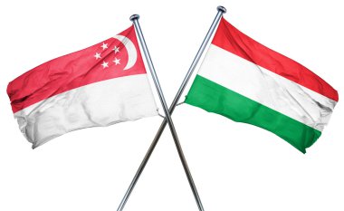 Macaristan bayrağı, 3d render ile Singapur bayrağı