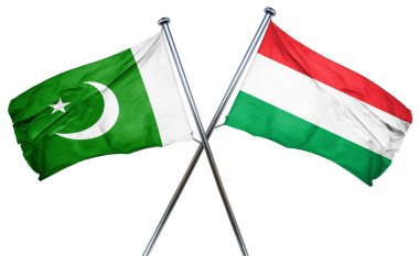 Macaristan bayrağı, 3d render ile Pakistan bayrağı