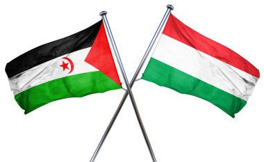 Batı Sahra bayrak Macaristan bayrağı, 3d render ile