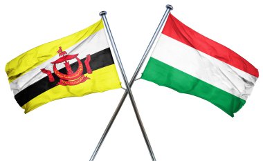 Macaristan bayrağı, 3d render ile Brunei bayrağı