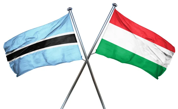 Vlajka Botswany vlajky s Maďarskem, 3d vykreslování — Stock fotografie