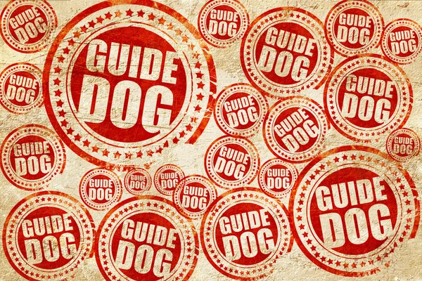 Pies przewodnik, czerwony znaczek na grunge tekstury papieru — Zdjęcie stockowe