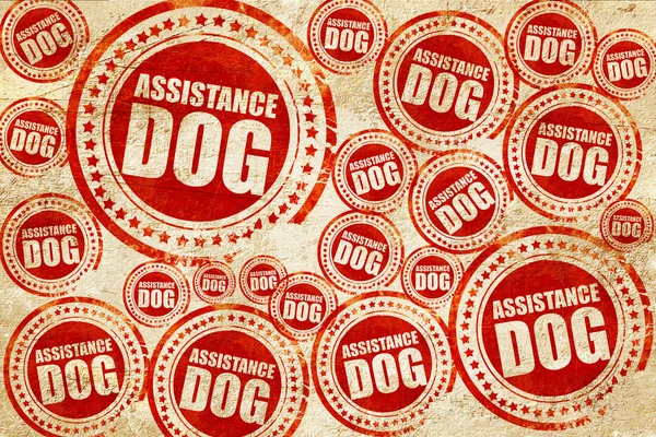 Yardım köpek, kırmızı pul doku kağıt üzerinde — Stok fotoğraf