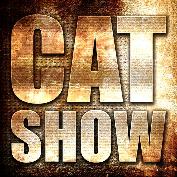 Show de gato, renderização 3D, texto de metal no fundo de ferrugem — Fotografia de Stock