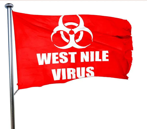 Fondo concepto de virus del Nilo Occidental, 3D renderizado, un rojo agitando f —  Fotos de Stock