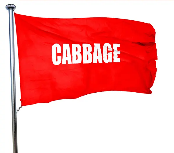 Lezzetli lahana işareti, 3d render, bir kırmızı dalgalanan bayrak — Stok fotoğraf