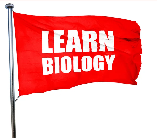 Learn biology, 3D rendering, a red waving flag — Stock Photo, Image