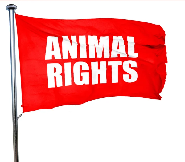 Derechos de los animales, representación 3D, una bandera ondeante roja — Foto de Stock