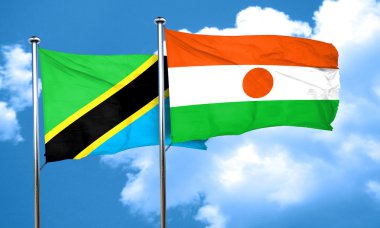 Nijer bayrak, 3d render ile Tanzanya bayrak