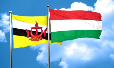 Macaristan bayrağı, 3d render ile Brunei bayrağı