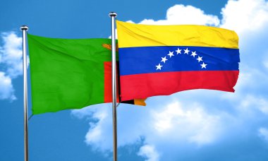 Venezuela bayrağıyla Zambiya bayrağı, 3 boyutlu