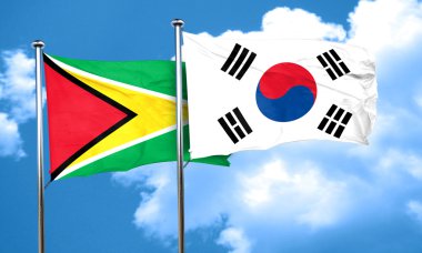 Güney Kore bayrağı, 3d render bayrakla Guyana