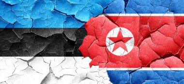 Estonya bayrağı bir grunge Kuzey Kore bayrağı ile duvar kırık