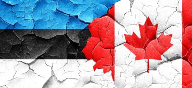 Estonya bayrağı bir grunge Kanada bayrağı ile duvar kırık