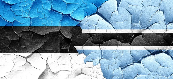 Estonya bayrağı bir grunge Botsvana bayrağı ile duvar kırık — Stok fotoğraf