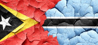 Doğu timor bayrağı bir grunge Botsvana bayrağı ile duvar kırık