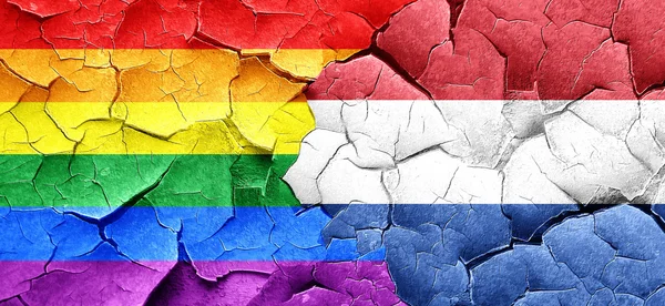 Gay pride flaga flagą Holandii na grunge popękane ściany — Zdjęcie stockowe