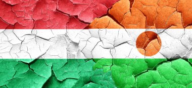 Macaristan bayrağı bir grunge Nijer bayrağı ile duvar kırık