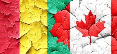 Gine bayrağı bir grunge Kanada bayrağı ile duvar kırık