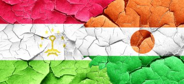 Tacikistan bayrağı bir grunge Nijer bayrağı ile duvar kırık