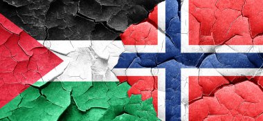 Filistin bayrağı bir grunge Norveç bayrağı ile duvar kırık