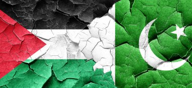 Filistin bayrağı bir grunge Pakistan bayrağı ile duvar kırık