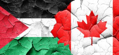 Filistin bayrağı bir grunge Kanada bayrağı ile duvar kırık