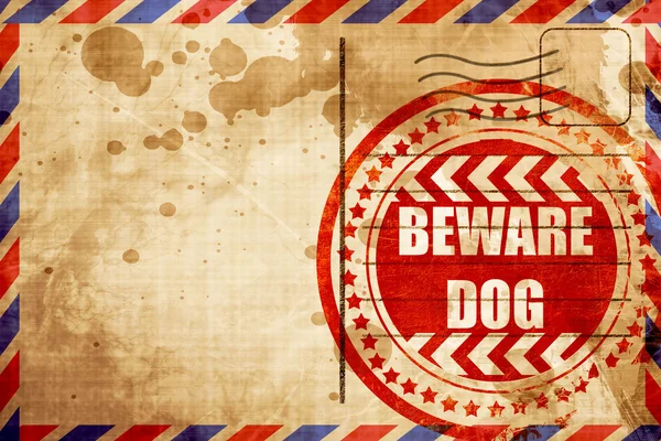 Cuidado com o sinal do cão — Fotografia de Stock