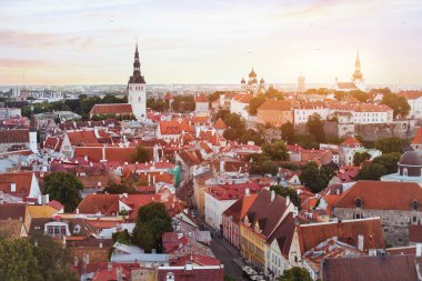 Tallinn panoramik görünüm
