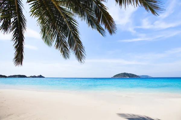 Paradise beach background — Stock Photo, Image