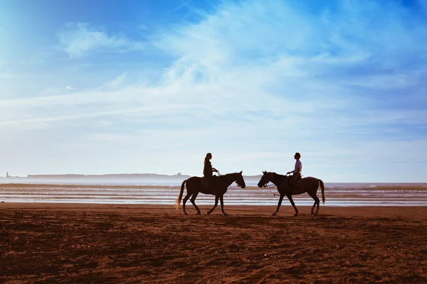 Pareja en la playa con caballos —  Fotos de Stock