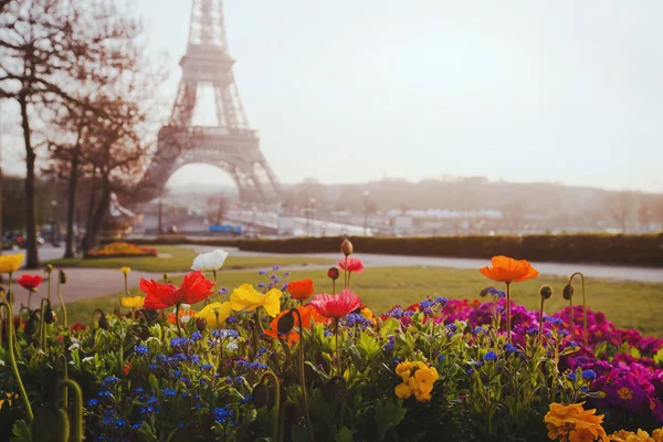 Flowers and Eiffel tower — Stock Photo, Image