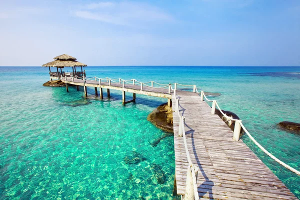 Paradise tropical beach — Stock Photo, Image