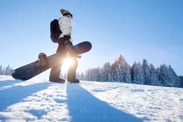 Snowboard vintern på vintern — Stockfoto