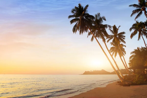 Zonsondergang op tropisch strand — Stockfoto