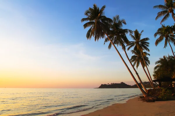 Puesta de sol en playa tropical —  Fotos de Stock