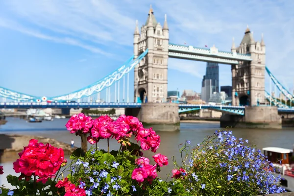 London Visa på sommaren — Stockfoto