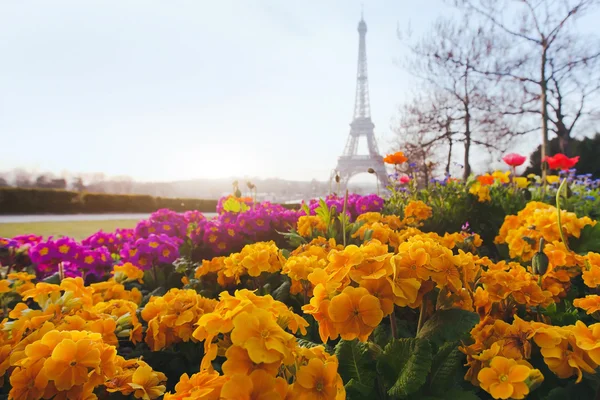 Paris in spring and Eiffel tower — Stock Photo, Image