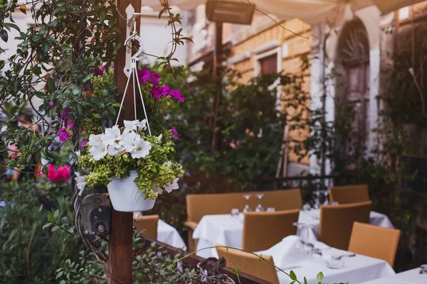 Terraza del restaurante con flores —  Fotos de Stock